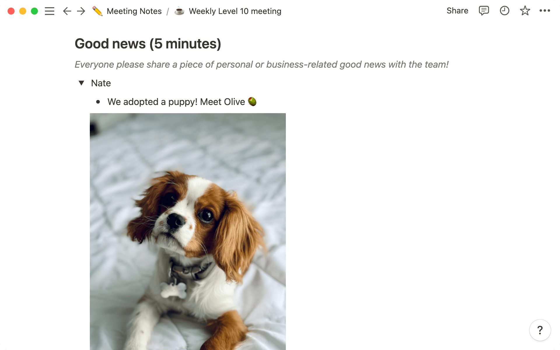 Use toggles so each person has their own space to share good news.